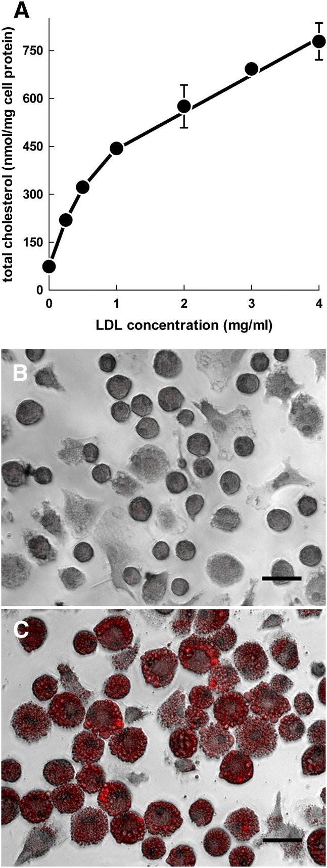 Fig. 3.