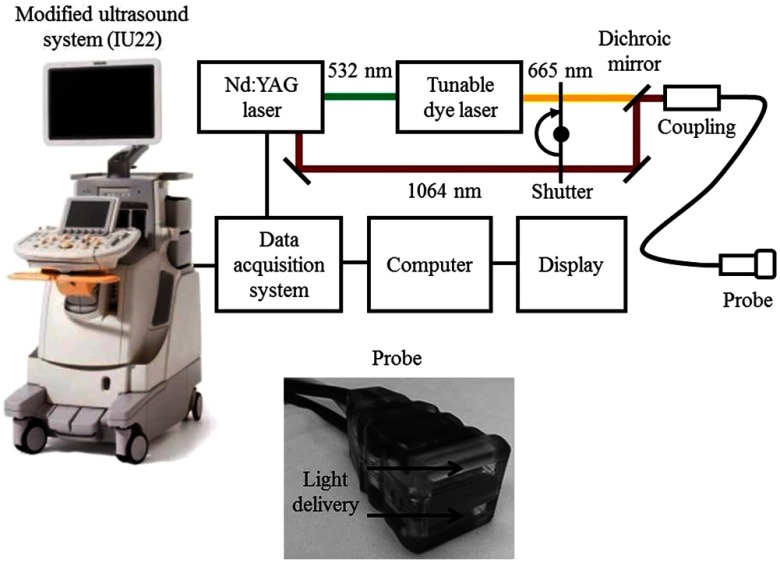 Fig. 11