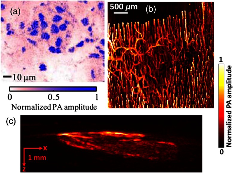 Fig. 7