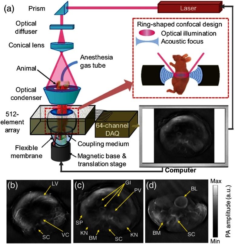 Fig. 2