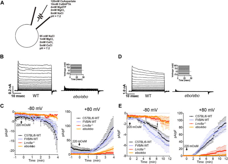 FIG 3