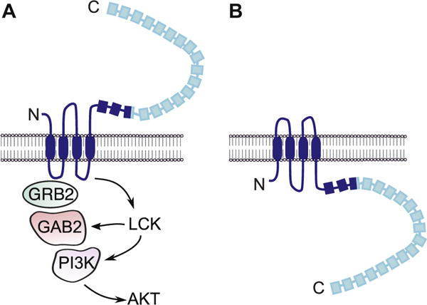 FIG 6