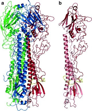 Fig. 9.2