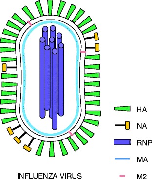 Fig. 9.1