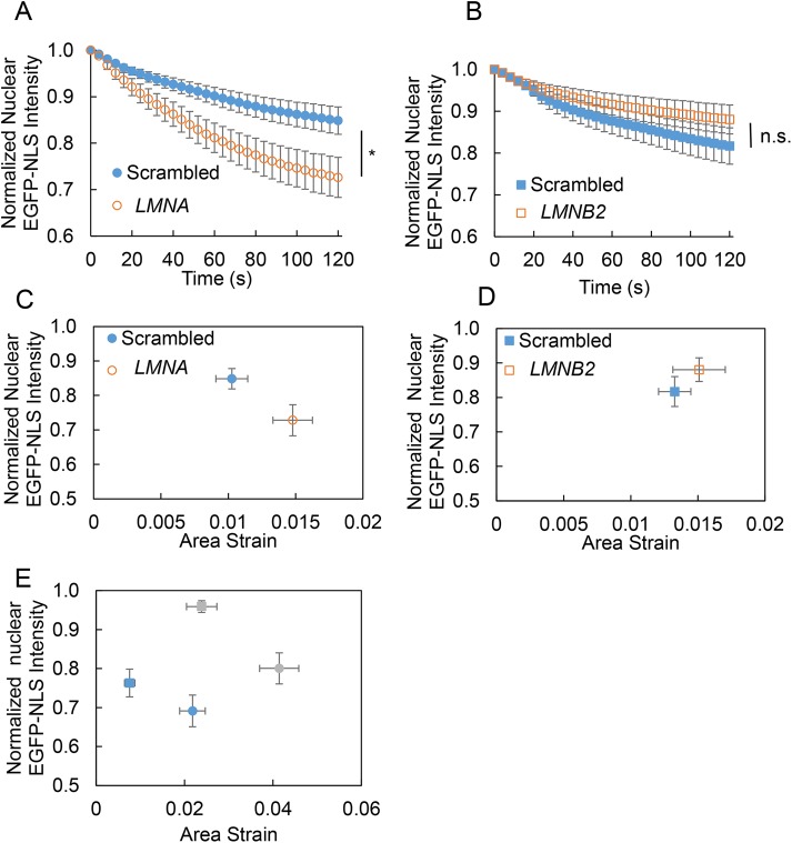 FIGURE 3: