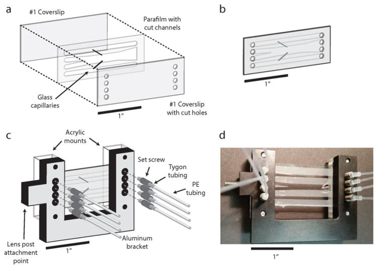 Fig. 13