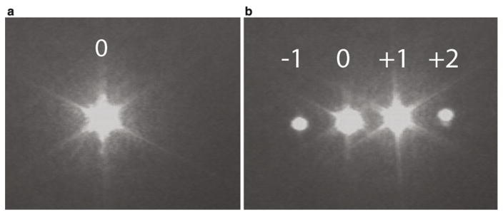 Fig. 15