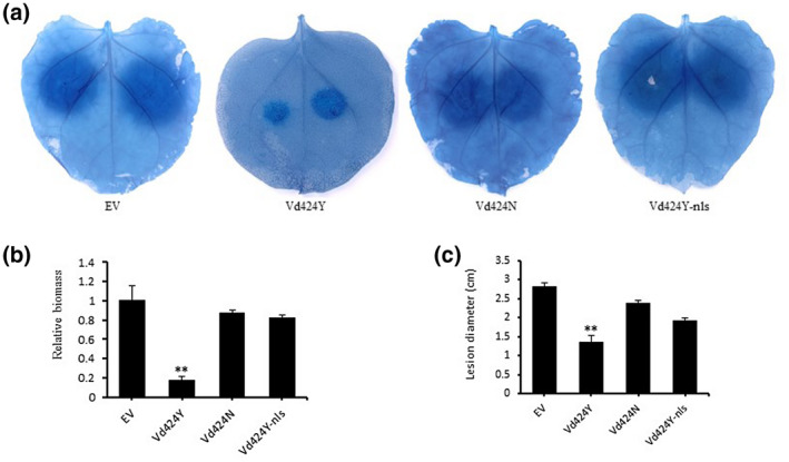 FIGURE 6