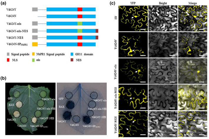 FIGURE 2