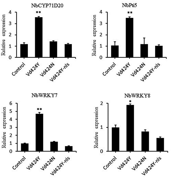 FIGURE 4