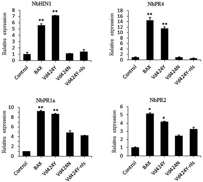 FIGURE 3