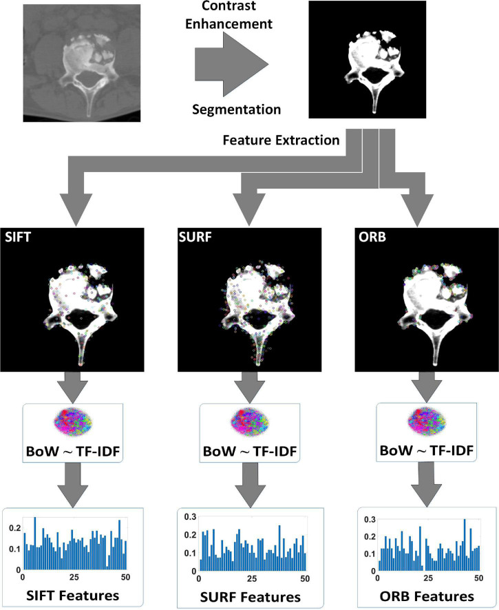 FIGURE 1