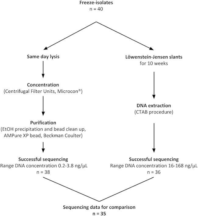 FIG 1