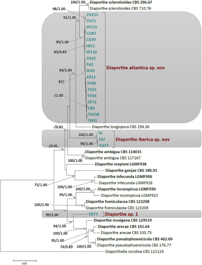 FIGURE 1