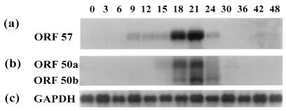 FIG. 8