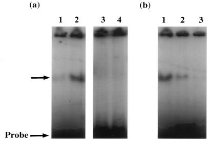 FIG. 7