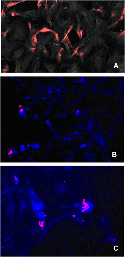 Figure 10.