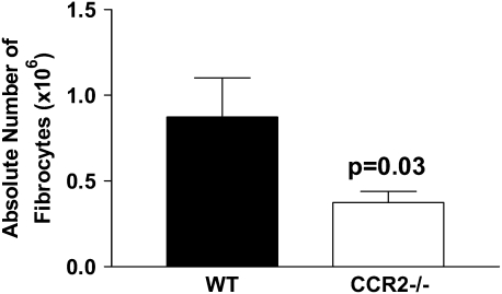 Figure 11.