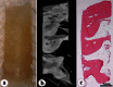 Fig. (2)