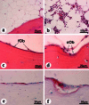 Fig. (6)