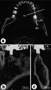 Fig. (4)