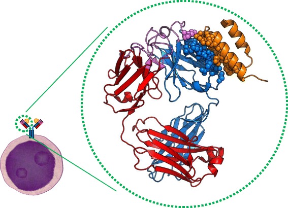 Fig. 2