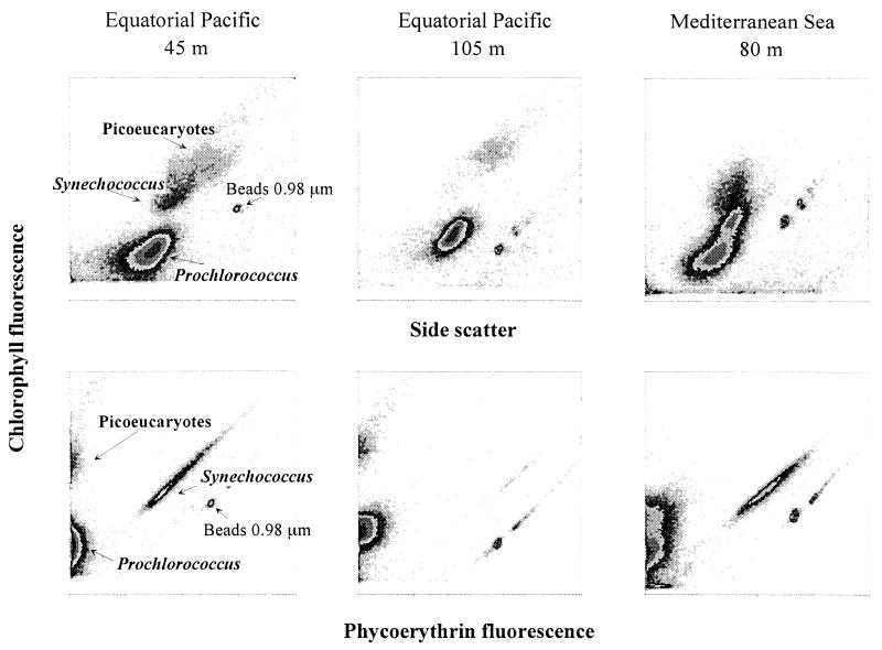 FIG. 2