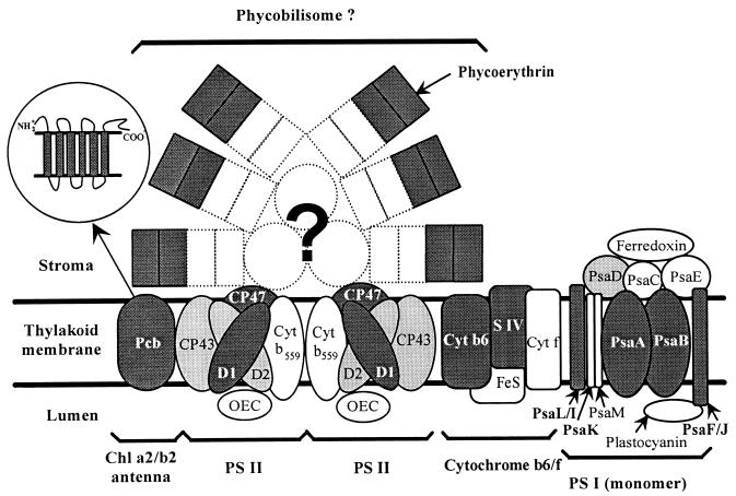 FIG. 6