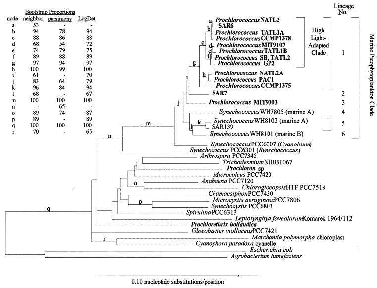 FIG. 11