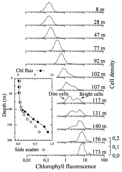 FIG. 5