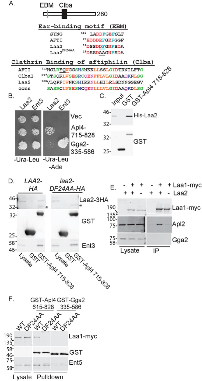 Figure 4.