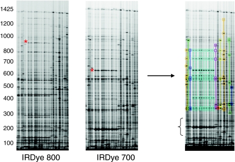 Fig. 1