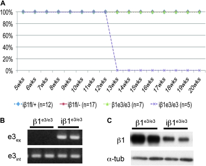 Figure 4.—