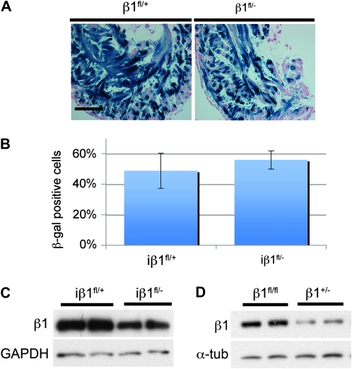 Figure 2.—