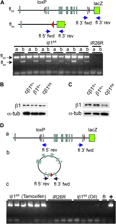 Figure 3.—