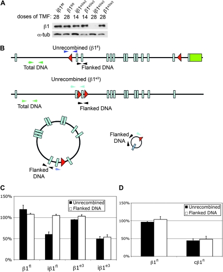 Figure 6.—