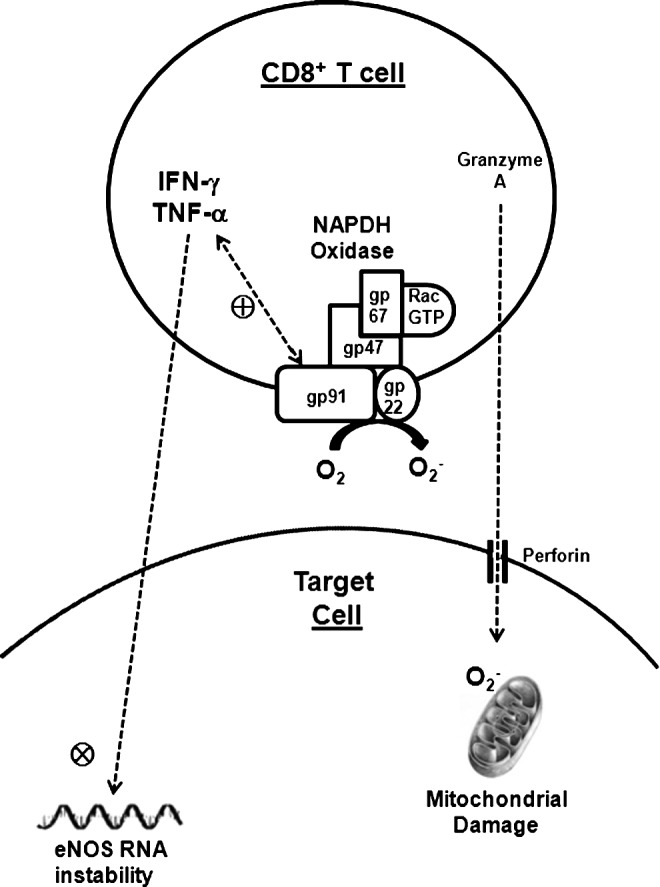 FIG. 2.