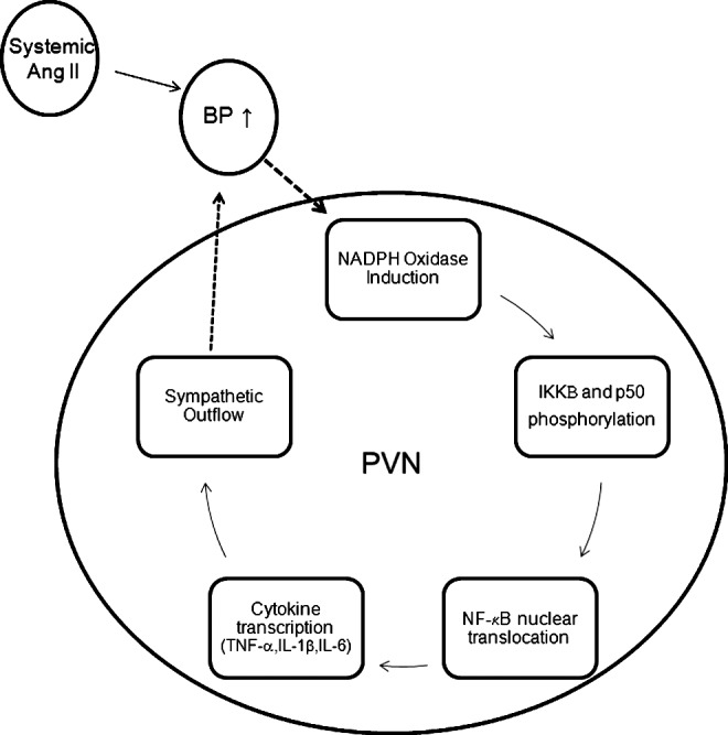 FIG. 4.