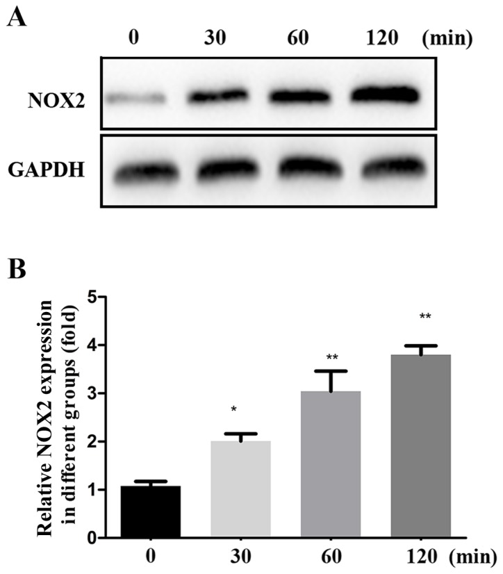 Figure 4.