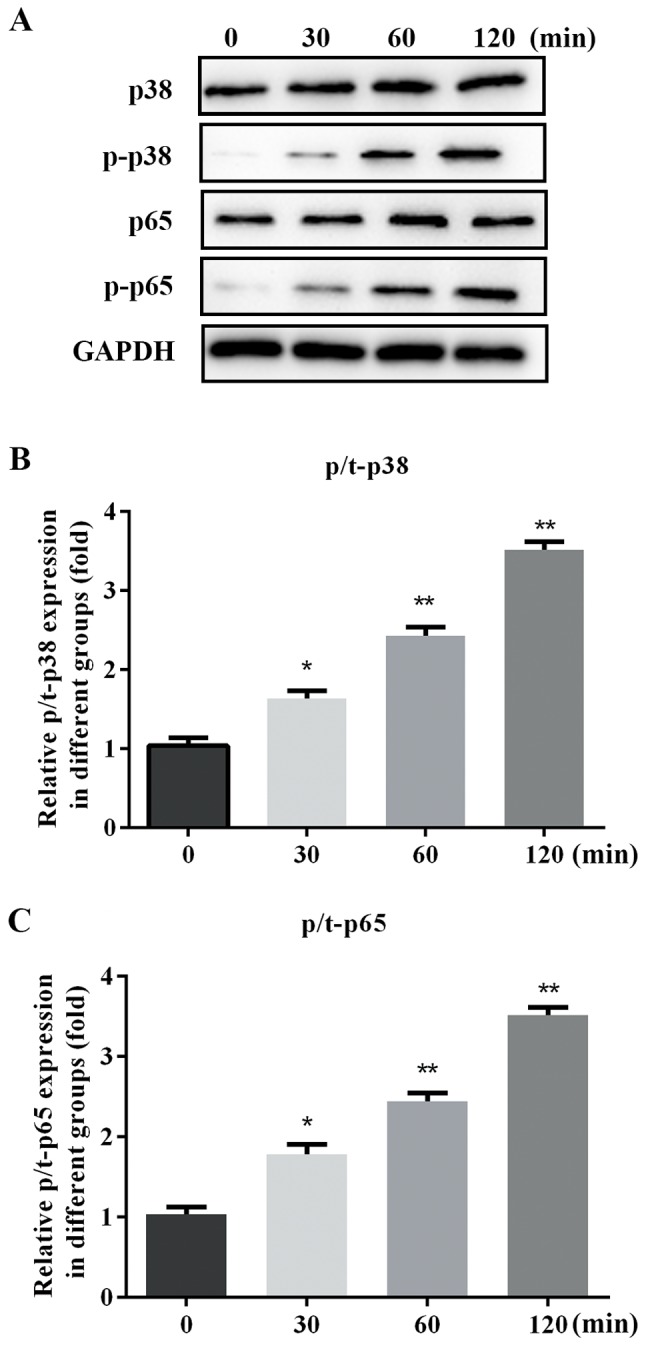 Figure 3.