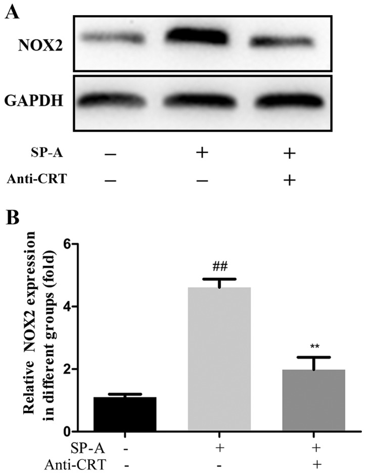 Figure 9.