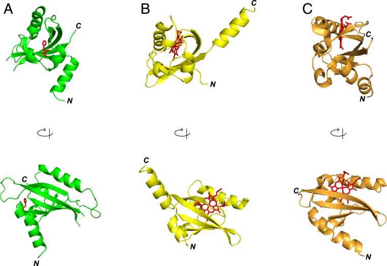 Fig. 3.