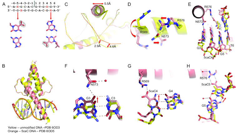 Figure 6.