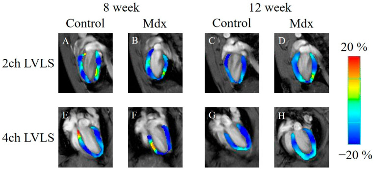 Figure 7