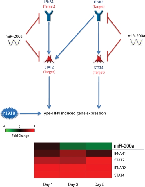 FIG. 4.