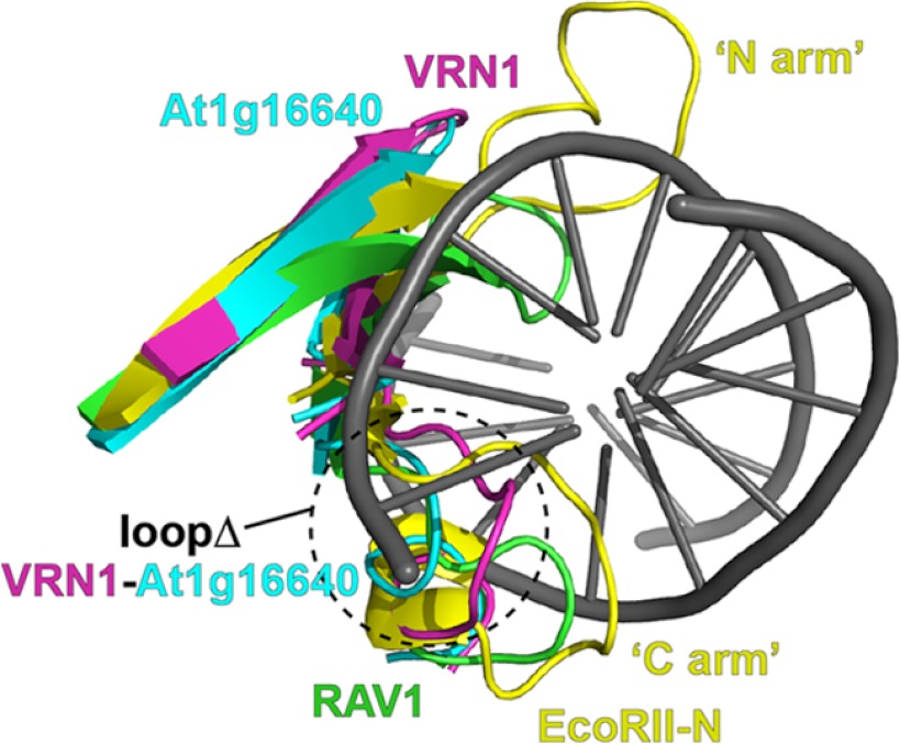 FIGURE 7.