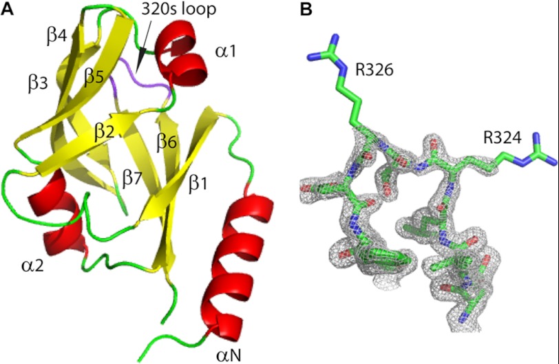 FIGURE 3.