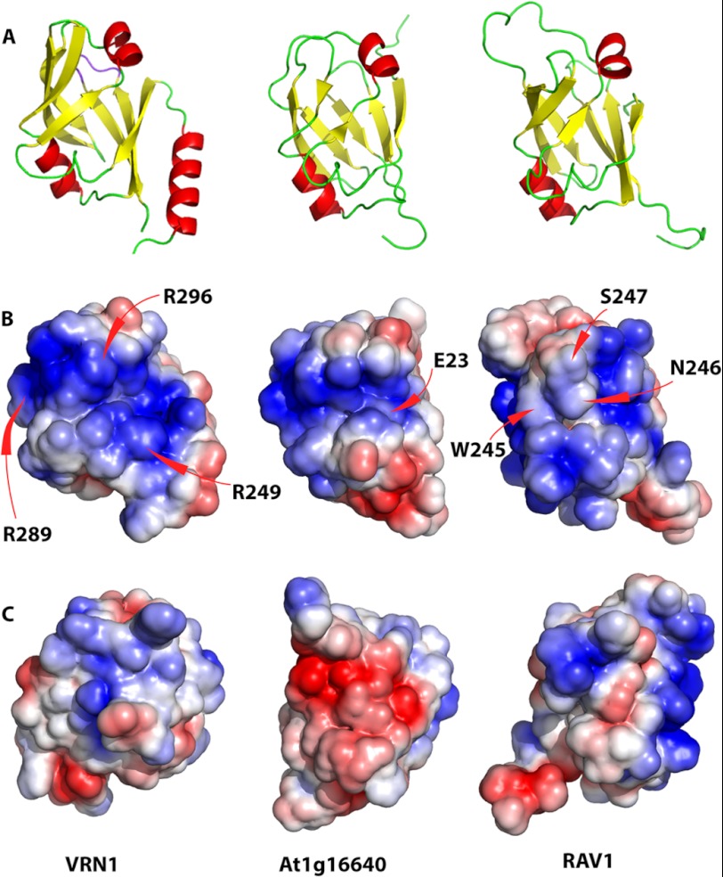 FIGURE 5.