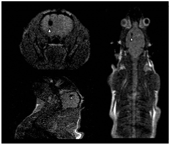 Figure 4