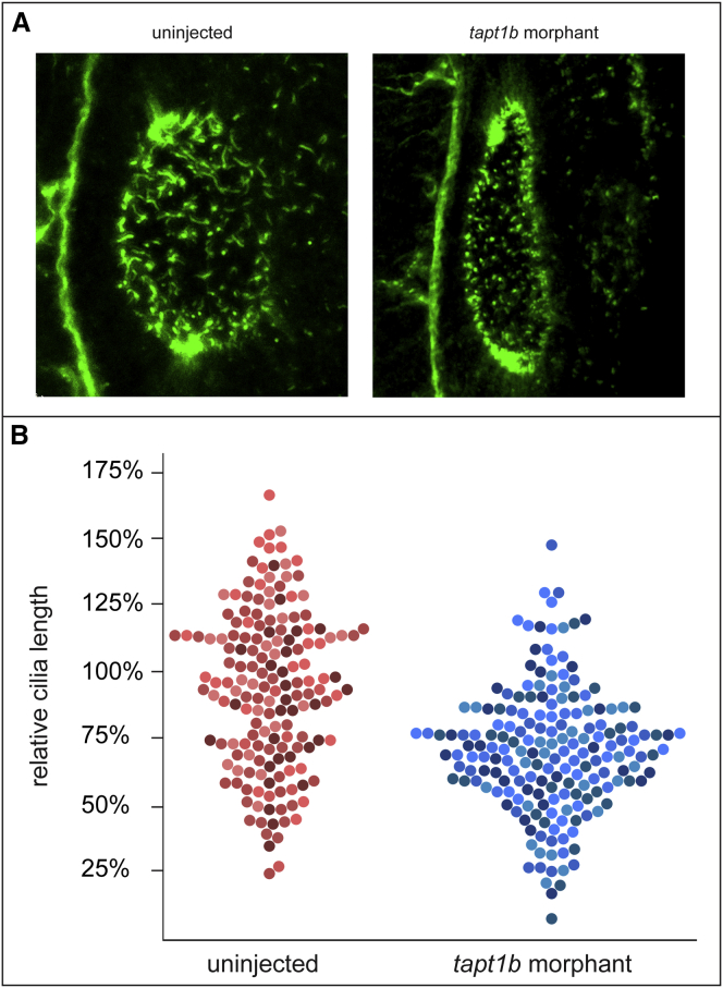 Figure 6